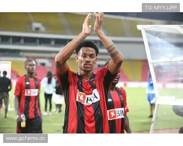 内尔松制胜球难掩阿奇姆彭破门失利 十人西海岸2-1力克十人河南 内尔松制胜球难掩阿奇姆彭破门失利 十人西海岸2-1力克十人河南