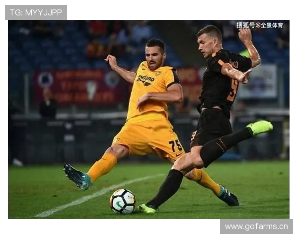 普莱滕贝格:帕德博恩中场泽恩特接近加盟沃尔夫斯堡 普莱滕贝格:帕德博恩中场泽恩特接近加盟沃尔夫斯堡